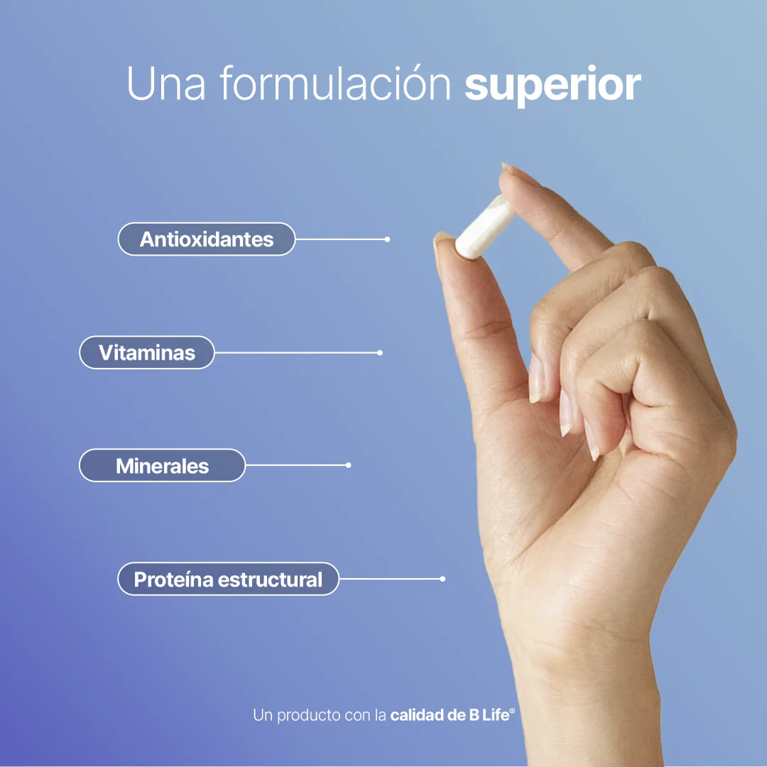 Citrate Mag | Citrato de Magnesio | Nueva Fórmula Potenciada 240 Caps | 800 mg