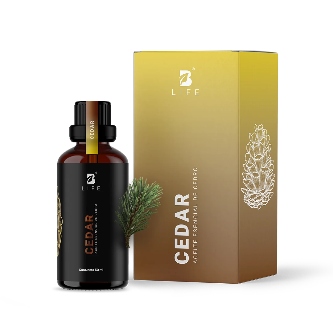 Disponible en Amazon